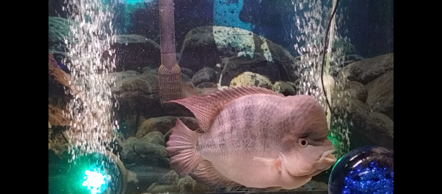 Screenshot_20240118-053248.png Screenshot_20240118-053248.png