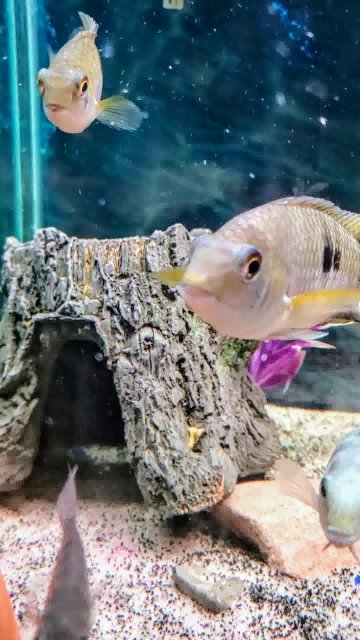 20240117_193422_0119-0~3.jpeg 20240117_193422_0119-0~3.jpeg