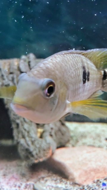 20240117_193422_0004-0~2.jpeg 20240117_193422_0004-0~2.jpeg