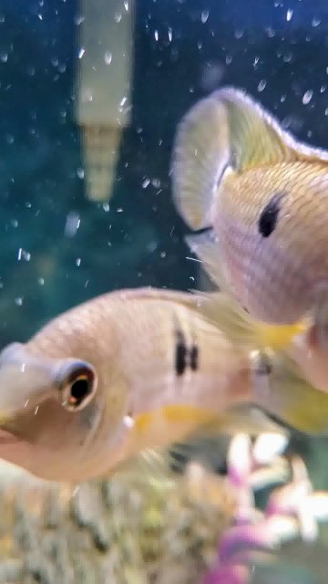 20240117_193422_0036-0~2.jpeg 20240117_193422_0036-0~2.jpeg