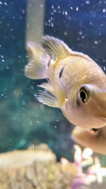 20240117_193422_0034-0~2.jpeg 20240117_193422_0034-0~2.jpeg