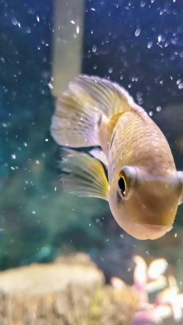 20240117_193422_0033-0~2.jpeg 20240117_193422_0033-0~2.jpeg