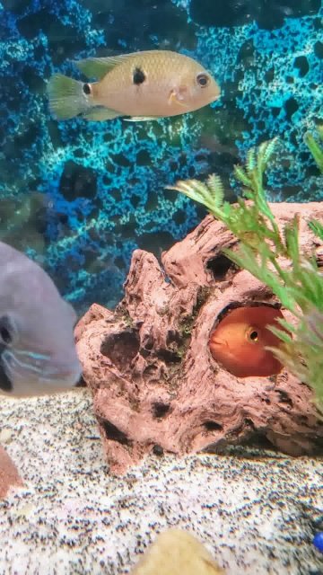 20240117_193422_0081-0~2.jpeg 20240117_193422_0081-0~2.jpeg