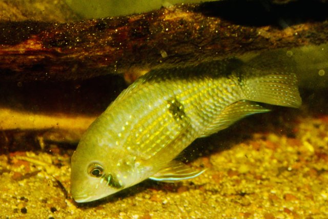 IMG_2976.jpeg IMG_2976.jpeg