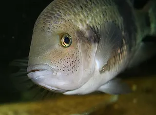 1705872675320.png 1705872675320.png