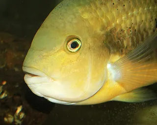 1705872711772.png 1705872711772.png