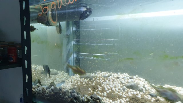 20210911_165842.jpg