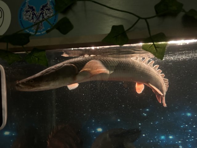 IMG_9185.jpeg IMG_9185.jpeg