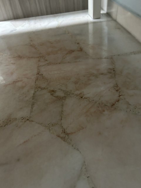 IMG_9187.jpeg IMG_9187.jpeg