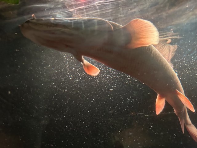 IMG_9186.jpeg IMG_9186.jpeg