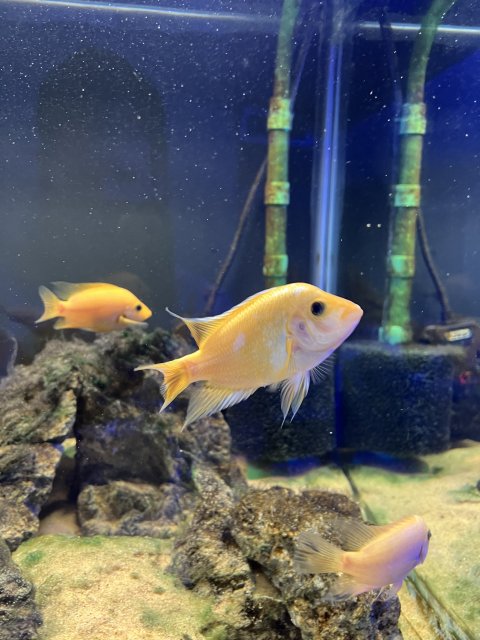 IMG_7579.jpeg IMG_7579.jpeg