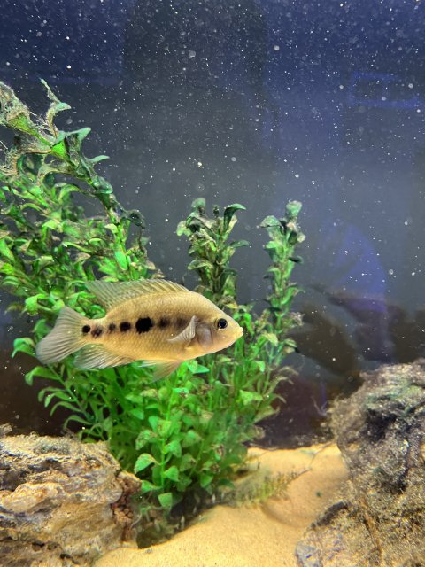 IMG_7581.jpeg IMG_7581.jpeg