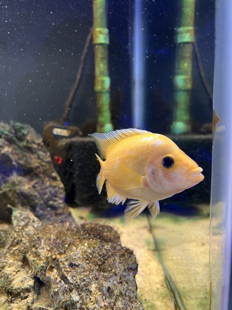 IMG_7584.jpeg IMG_7584.jpeg