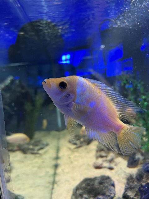 IMG_7585.jpeg IMG_7585.jpeg