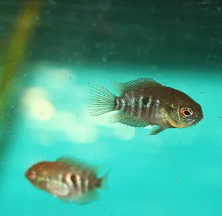 1706359578803.png 1706359578803.png