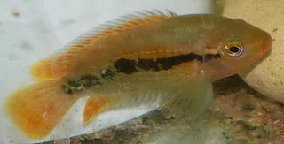 1706359607129.png 1706359607129.png