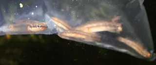 1706360183426.png 1706360183426.png