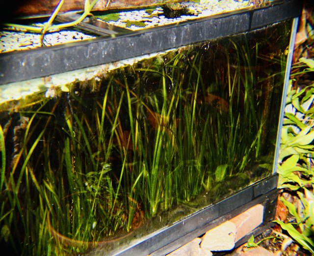 IMG_2414.jpeg IMG_2414.jpeg