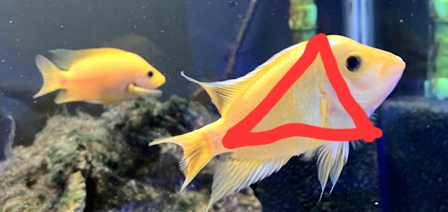 IMG_7579.jpeg.jpg IMG_7579.jpeg.jpg