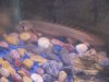 100_2817.JPG