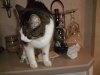 new pics 046.jpg