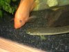 DSC03683.JPG