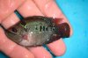 DSC00496.JPG