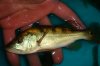 DSC00494.JPG