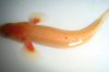 DSC00476.JPG