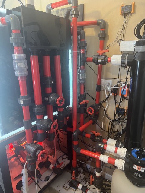 IMG_2893.jpeg IMG_2893.jpeg