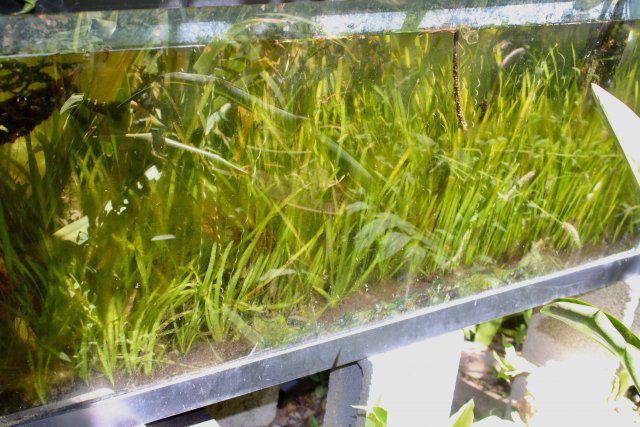 IMG_3167.jpeg IMG_3167.jpeg