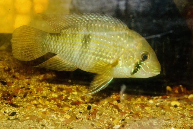 IMG_3135.jpeg IMG_3135.jpeg