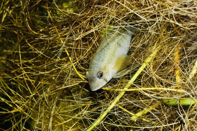 IMG_3082.jpeg IMG_3082.jpeg