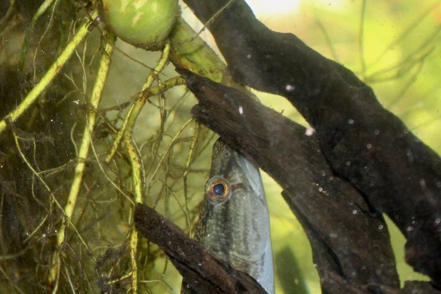 IMG_2964.jpeg IMG_2964.jpeg