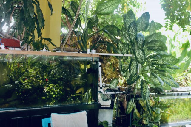 IMG_3170.jpeg IMG_3170.jpeg