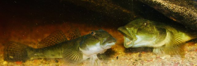 IMG_1920.jpeg IMG_1920.jpeg