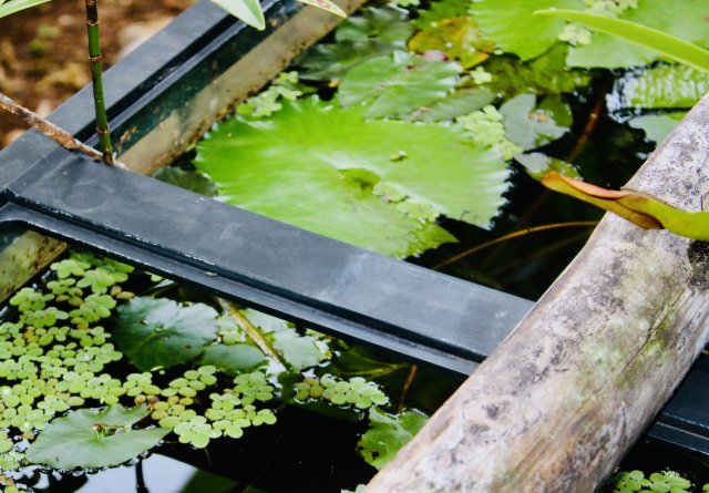 IMG_2077.jpeg IMG_2077.jpeg