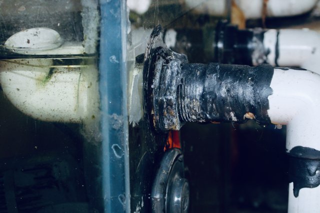 IMG_3187.jpeg IMG_3187.jpeg