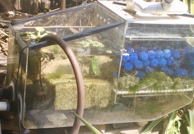 IMG_5386.jpeg IMG_5386.jpeg