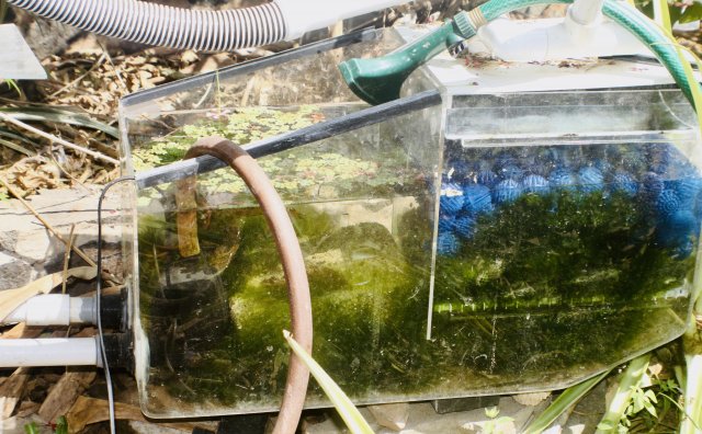 IMG_7452.jpeg IMG_7452.jpeg