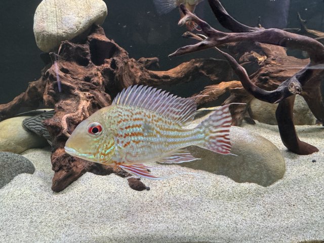 IMG_7996.jpeg IMG_7996.jpeg