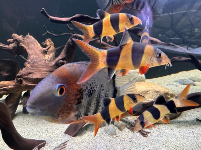 IMG_7993.jpeg IMG_7993.jpeg