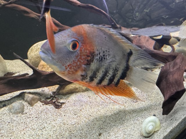 IMG_7990.jpeg IMG_7990.jpeg