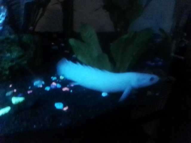 IMG_20231208_232025 (1).jpg