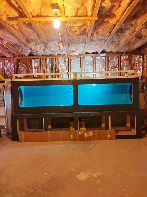 hood frames built.jpg