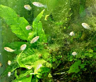 1706956130184.png 1706956130184.png