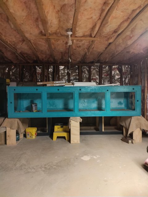 Cleveland build complete.jpg