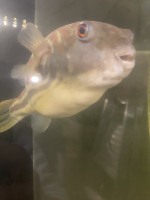 IMG_0722.jpeg