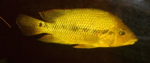 IMG_1578.jpeg IMG_1578.jpeg