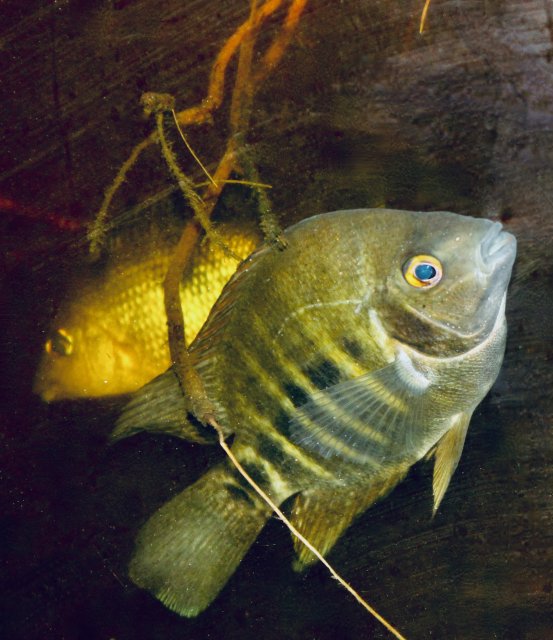 IMG_1579.jpeg IMG_1579.jpeg